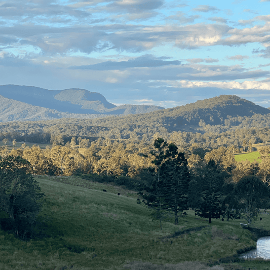 Knife sharpening near me in the Northern Rivers: Why local service matters