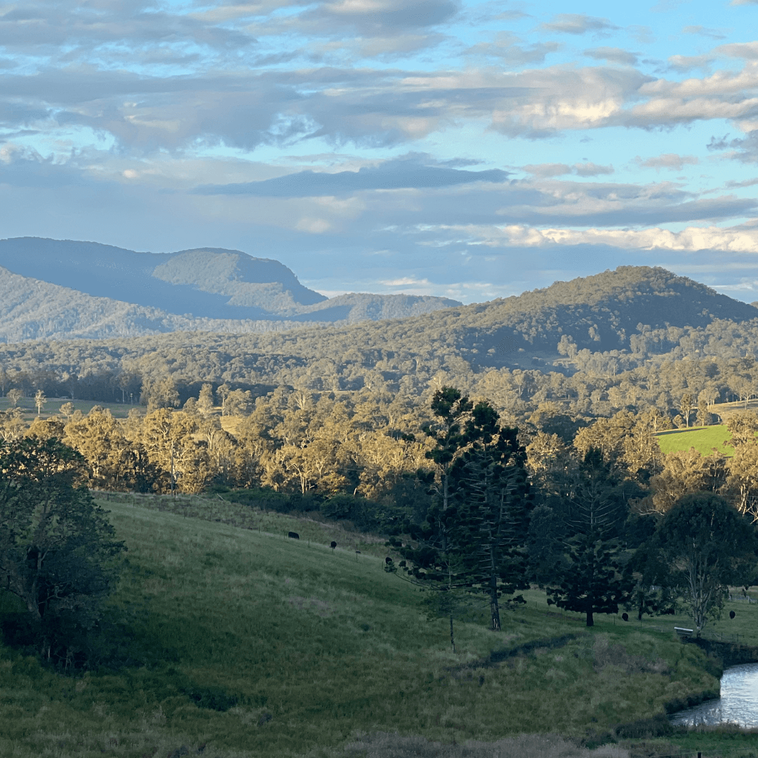 A view from Ataraxis Farms across to the Border Ranges, Northern Rivers